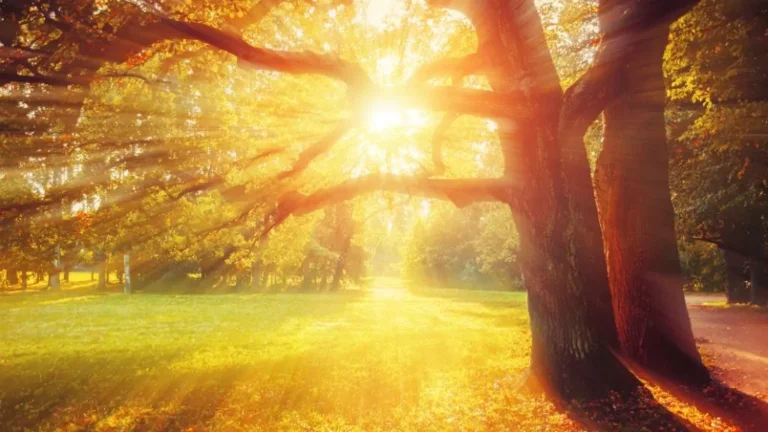 A hét közepéig maradnak a fagyos hajnalok, majd visszatér a tavaszias idő