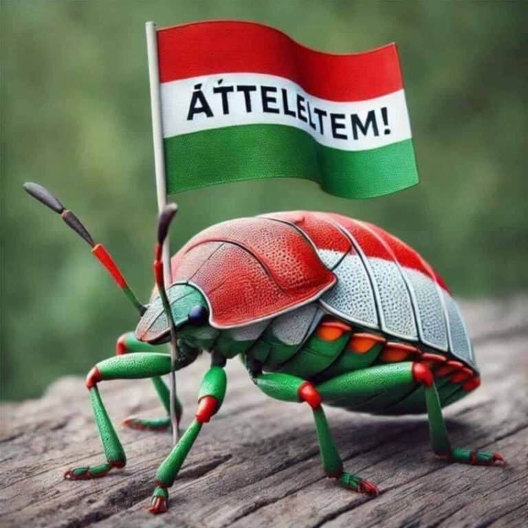 Kezdenek eszmélni a poloskák – nagy takarodás követheti a nagytakarítást, ha Magyar Péter győz