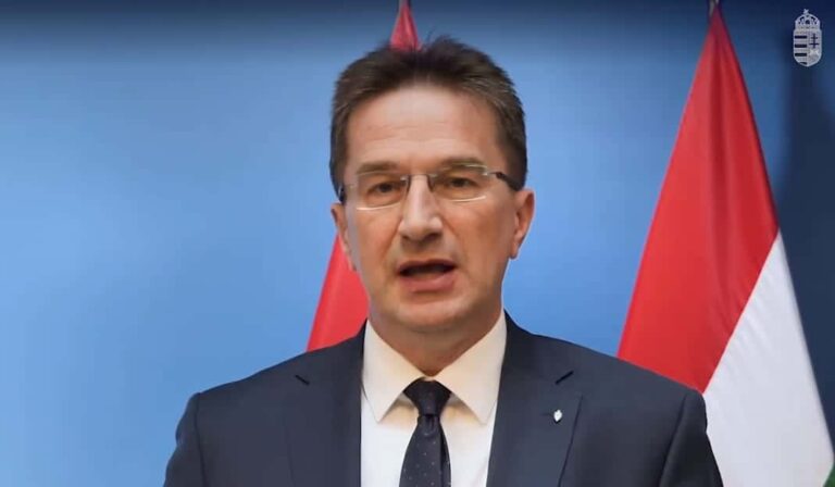 Hadházy Ákos: Völner Pál lánya a bécsi nagykövetségen attasé és konzul