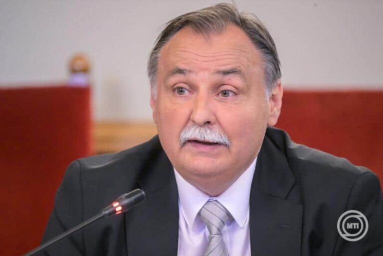 Azonnali moratórium jön: Gajdos László leállítja a fakivágásokat a védett erdőkben
